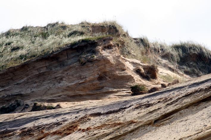 Morsum Kliff 24.jpg - Am Morsum Kliff